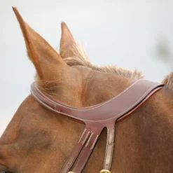 Hoofdstel Dy'on Difference Bruin -Ruiter Hoek Verkoopwinkel hoofdstel dy on difference bruin 1500x1500 116075