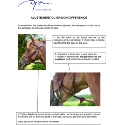 Hoofdstel Dy'on Difference Bruin -Ruiter Hoek Verkoopwinkel hoofdstel dy on difference bruin 1500x1500 116077