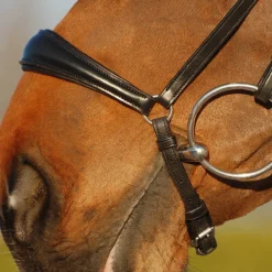 Hoofdstel Dy'on DRC Drop Zwart -Ruiter Hoek Verkoopwinkel hoofdstel dy on drc drop zwart 1500x1500 101393