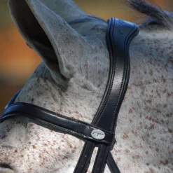 Hoofdstel Dy'on DRC Drop Zwart -Ruiter Hoek Verkoopwinkel hoofdstel dy on drc drop zwart 1500x1500 101394