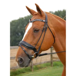 Hoofdstel Dy'on DRC Mat Black-black -Ruiter Hoek Verkoopwinkel hoofdstel dy on drc mat black black 1500x1500 101405