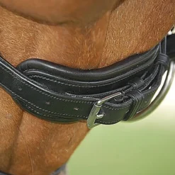 Hoofdstel Dy'on DRC Mat Black-black -Ruiter Hoek Verkoopwinkel hoofdstel dy on drc mat black black 1500x1500 101407