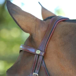 Hoofdstel Dy'on DRC Matte Medium Crank Noseband Bruin -Ruiter Hoek Verkoopwinkel hoofdstel dy on drc matte medium crank noseband bruin 1500x1500 141533