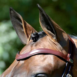 Hoofdstel Dy'on DRC Matte Medium Crank Noseband Bruin -Ruiter Hoek Verkoopwinkel hoofdstel dy on drc matte medium crank noseband bruin 1500x1500 141534