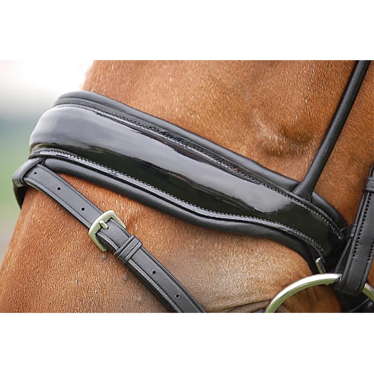 Hoofdstel Dy’on DRC Rondgenaaid Lak Black-black 4 Hoofdstel Dy’on DRC Rondgenaaid Lak Black-black - Afbeelding 2