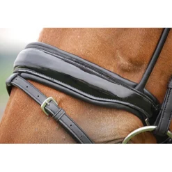 Hoofdstel Dy’on DRC Rondgenaaid Lak Black-black 13 Hoofdstel Dy’on DRC Rondgenaaid Lak Black-black -Ruiter Hoek Verkoopwinkel hoofdstel dy on drc rondgenaaid lak black black 1500x1500 101412