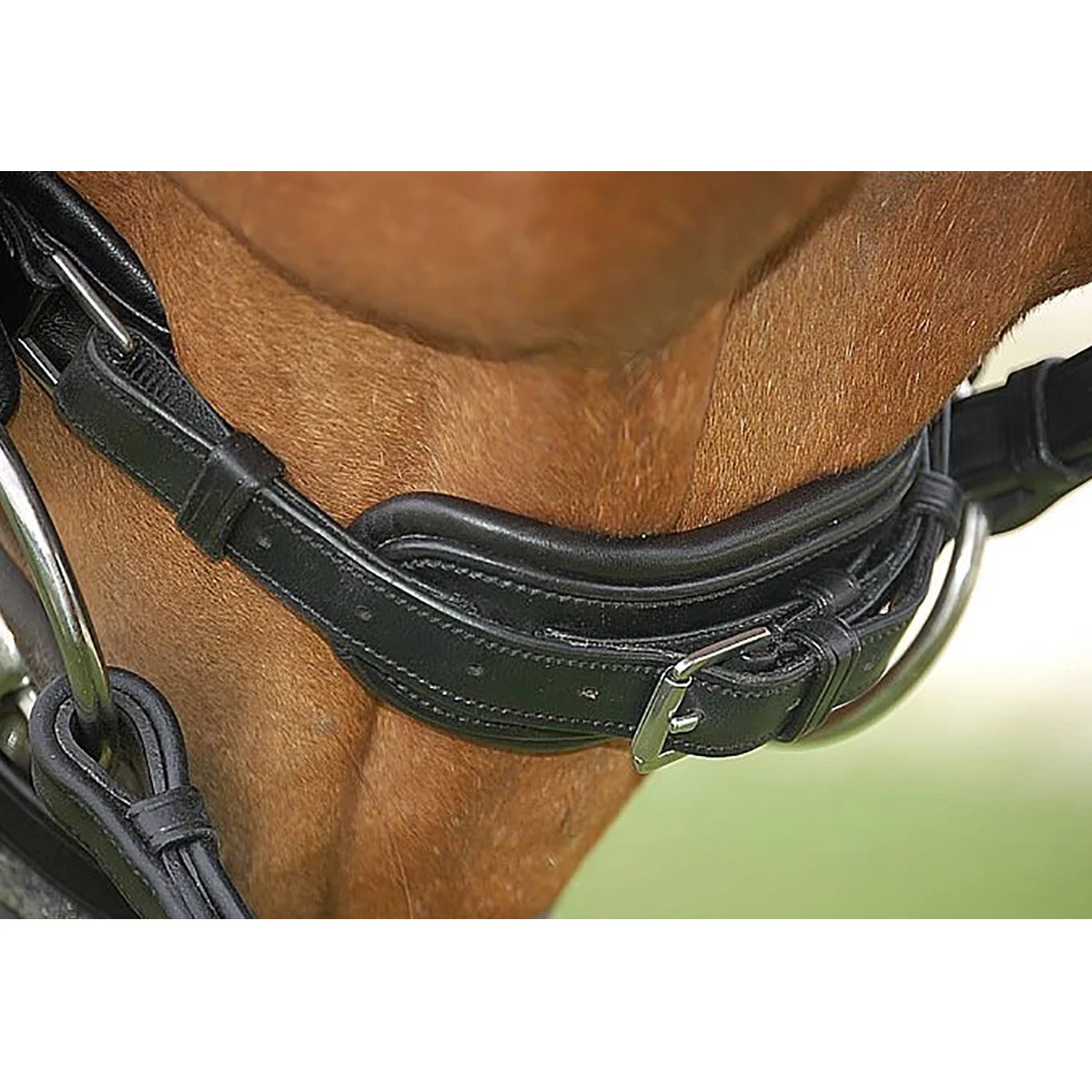 Hoofdstel Dy’on DRC Rondgenaaid Lak Black-black 9 Hoofdstel Dy’on DRC Rondgenaaid Lak Black-black - Afbeelding 7