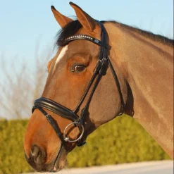 Hoofdstel Dy'on DRC Rondgenaaid Medium Mat Zwart -Ruiter Hoek Verkoopwinkel hoofdstel dy on drc rondgenaaid medium mat zwart 1500x1500 116083