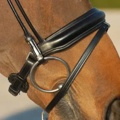 Hoofdstel Dy'on DRC Rondgenaaid Medium Mat Zwart -Ruiter Hoek Verkoopwinkel hoofdstel dy on drc rondgenaaid medium mat zwart 1500x1500 116084