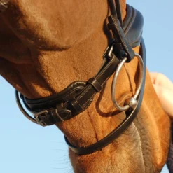 Hoofdstel Dy'on DRC Rondgenaaid Medium Mat Zwart -Ruiter Hoek Verkoopwinkel hoofdstel dy on drc rondgenaaid medium mat zwart 1500x1500 116085