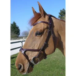 Hoofdstel Dy'on NEC X Fit Bruin -Ruiter Hoek Verkoopwinkel hoofdstel dy on nec x fit bruin 1500x1500 101386