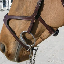 Hoofdstel Dy'on NEC X Fit Bruin -Ruiter Hoek Verkoopwinkel hoofdstel dy on nec x fit bruin 1500x1500 101388