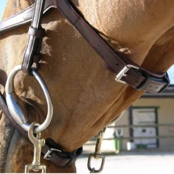 Hoofdstel Dy'on NEC X Fit Bruin -Ruiter Hoek Verkoopwinkel hoofdstel dy on nec x fit bruin 1500x1500 101390