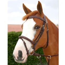 Hoofdstel Dy'on Working Collection Flash Noseband With Snap Hooks Bruin -Ruiter Hoek Verkoopwinkel hoofdstel dy on working collection flash noseband with snap hooks bruin 1500x1500 141593