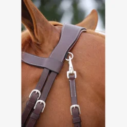 Hoofdstel Dy'on Working Collection Flash Noseband With Snap Hooks Bruin -Ruiter Hoek Verkoopwinkel hoofdstel dy on working collection flash noseband with snap hooks bruin 1500x1500 141594