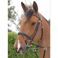 Hoofdstel Dy'on Working Collection Flash Noseband With Snap Hooks Zwart 7 Hoofdstel Dy'on Working Collection Flash Noseband With Snap Hooks Zwart -Ruiter Hoek Verkoopwinkel hoofdstel dy on working collection flash noseband with snap hooks zwart 1500x1500 141590