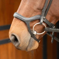 Hoofdstel Harry's Horse Anatomic Zwart -Ruiter Hoek Verkoopwinkel hoofdstel harry s horse anatomic zwart 1500x1500 100131