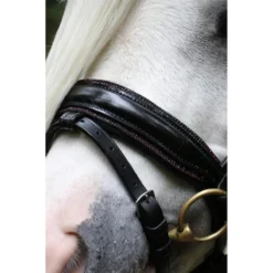 Hoofdstel HB Showtime Special A-Pony Zwart-rood -Ruiter Hoek Verkoopwinkel hoofdstel hb showtime special a pony zwart rood 1500x1500 183325