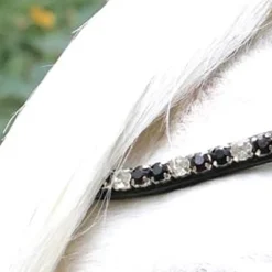 Hoofdstel HB Showtime Special A-Pony Zwart-rood -Ruiter Hoek Verkoopwinkel hoofdstel hb showtime special a pony zwart rood 1500x1500 183326