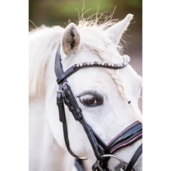 Hoofdstel HB Showtime Special A-Pony Zwart-roze -Ruiter Hoek Verkoopwinkel hoofdstel hb showtime special a pony zwart roze 1500x1500 183323