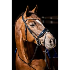 Hoofdstel HB Special Guy Zwart -Ruiter Hoek Verkoopwinkel hoofdstel hb special guy zwart 1500x1500 146330