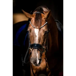 Hoofdstel HB Special Guy Zwart -Ruiter Hoek Verkoopwinkel hoofdstel hb special guy zwart 1500x1500 146333