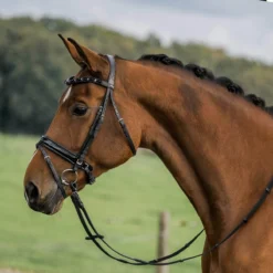 Hoofdstel Horka Flamingo Zwart