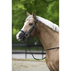 Hoofdstel Horsegear Aquila Deluxe Zwart -Ruiter Hoek Verkoopwinkel hoofdstel horsegear aquila deluxe zwart 1500x1500 100729