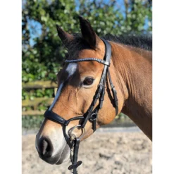 Hoofdstel Horsegear Aquila Deluxe Zwart -Ruiter Hoek Verkoopwinkel hoofdstel horsegear aquila deluxe zwart 1500x1500 100730