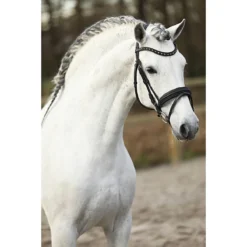 Hoofdstel Horsegear HGLembut Soft Zwart 6 Hoofdstel Horsegear HGLembut Soft Zwart -Ruiter Hoek Verkoopwinkel hoofdstel horsegear hglembut soft zwart 1500x1500 182246