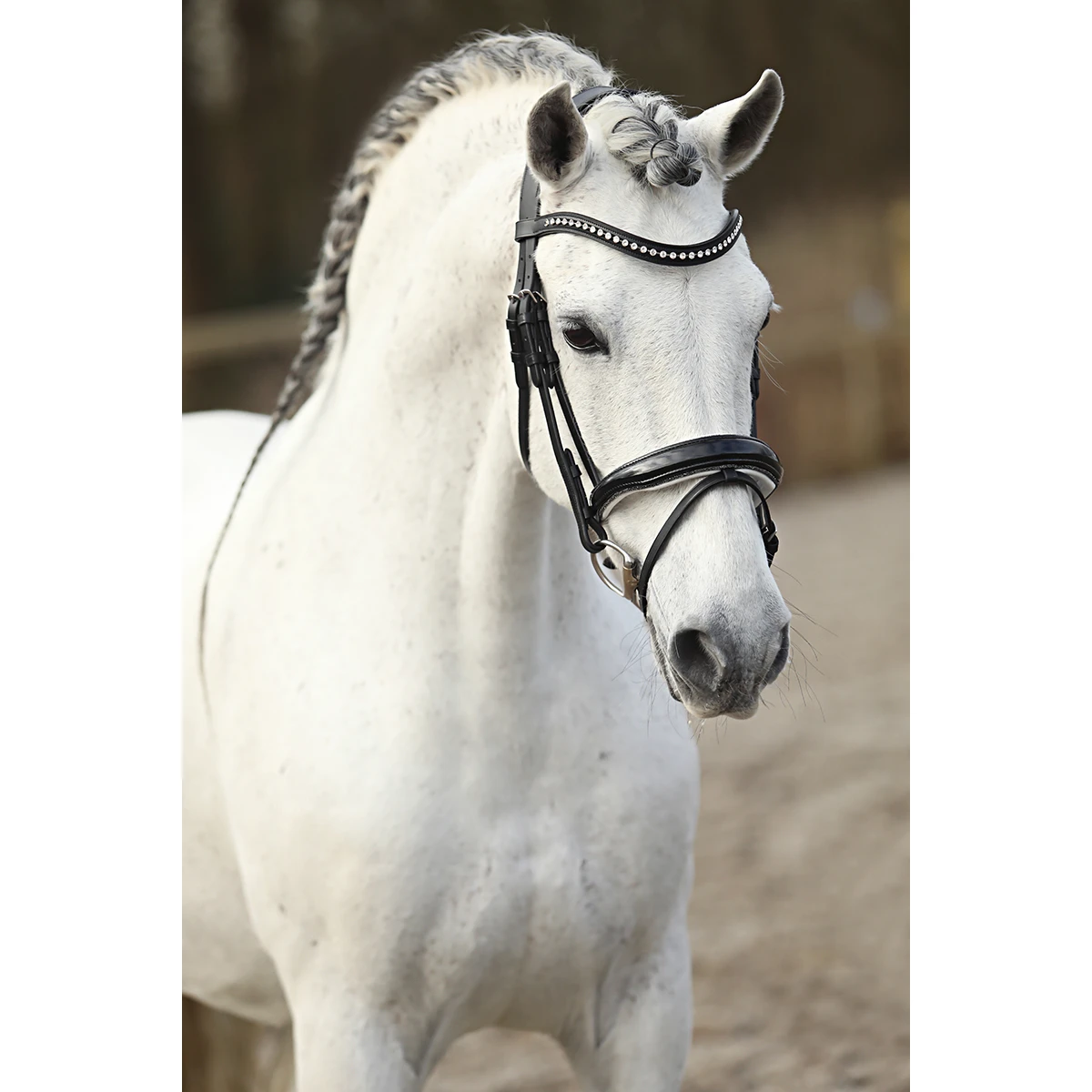 Hoofdstel Horsegear HGLucido Zwart-wit 6 Hoofdstel Horsegear HGLucido Zwart-wit - Afbeelding 4