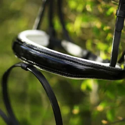 Hoofdstel Horsegear HGLucido Zwart-wit 15 Hoofdstel Horsegear HGLucido Zwart-wit -Ruiter Hoek Verkoopwinkel hoofdstel horsegear hglucido zwart wit 1500x1500 183691