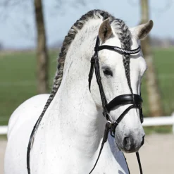 Hoofdstel Horsegear Honestus Zwart -Ruiter Hoek Verkoopwinkel hoofdstel horsegear honestus zwart 1500x1500 122105