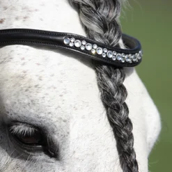 Hoofdstel Horsegear Honestus Zwart -Ruiter Hoek Verkoopwinkel hoofdstel horsegear honestus zwart 1500x1500 122106