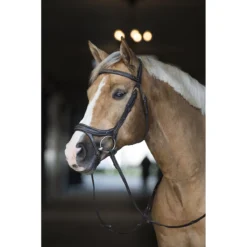 Hoofdstel Horsegear Nexus Bruin-goud -Ruiter Hoek Verkoopwinkel hoofdstel horsegear nexus bruin goud 1500x1500 115803