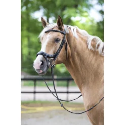 Hoofdstel Horsegear Nexus Zwart-zilver -Ruiter Hoek Verkoopwinkel hoofdstel horsegear nexus zwart zilver 1500x1500 115796