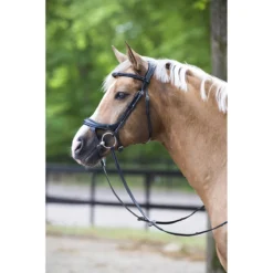 Hoofdstel Horsegear Nexus Zwart-zilver -Ruiter Hoek Verkoopwinkel hoofdstel horsegear nexus zwart zilver 1500x1500 115797