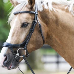 Hoofdstel Horsegear Nexus Zwart-zilver -Ruiter Hoek Verkoopwinkel hoofdstel horsegear nexus zwart zilver 1500x1500 115799