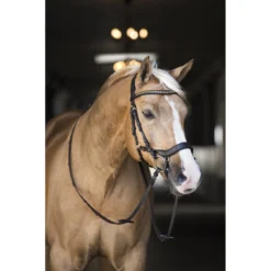 Hoofdstel Horsegear Quasar Bruin-goud -Ruiter Hoek Verkoopwinkel hoofdstel horsegear quasar bruin goud 1500x1500 115791