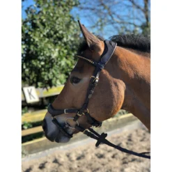 Hoofdstel Horsegear Quasar Bruin-goud -Ruiter Hoek Verkoopwinkel hoofdstel horsegear quasar bruin goud 1500x1500 115792