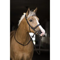 Hoofdstel Horsegear Styx Bruin -Ruiter Hoek Verkoopwinkel hoofdstel horsegear styx bruin 1500x1500 119260