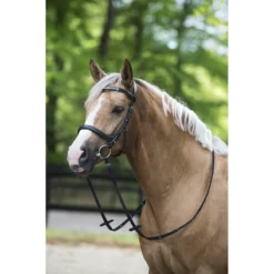 Hoofdstel Horsegear Styx Zwart -Ruiter Hoek Verkoopwinkel hoofdstel horsegear styx zwart 1500x1500 119257