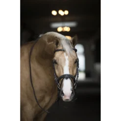 Hoofdstel Horsegear Taron Bruin -Ruiter Hoek Verkoopwinkel hoofdstel horsegear taron bruin 1500x1500 119254