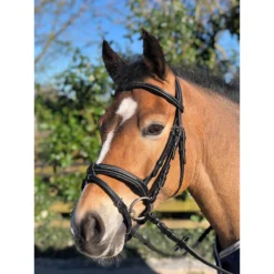 Hoofdstel Horsegear Taron Zwart -Ruiter Hoek Verkoopwinkel hoofdstel horsegear taron zwart 1500x1500 119250