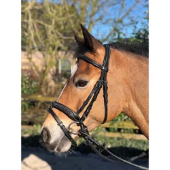 Hoofdstel Horsegear Taron Zwart -Ruiter Hoek Verkoopwinkel hoofdstel horsegear taron zwart 1500x1500 119251