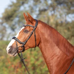 Hoofdstel Kieffer Ultrasoft Amy Zwart -Ruiter Hoek Verkoopwinkel hoofdstel kieffer ultrasoft amy zwart 1500x1500 116753