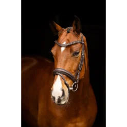 Hoofdstel LeMieux Arika Dressage Bruin -Ruiter Hoek Verkoopwinkel hoofdstel lemieux arika dressage bruin 1500x1500 185345