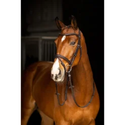 Hoofdstel LeMieux Arika Flash Bruin -Ruiter Hoek Verkoopwinkel hoofdstel lemieux arika flash bruin 1500x1500 185334