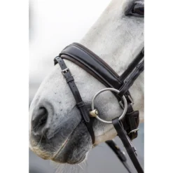 Hoofdstel LeMieux Classic Dressage Bruin -Ruiter Hoek Verkoopwinkel hoofdstel lemieux classic dressage bruin 1500x1500 163544