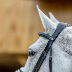 Hoofdstel LeMieux Competition Flash Zwart -Ruiter Hoek Verkoopwinkel hoofdstel lemieux competition flash zwart 1500x1500 163684